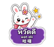 881116633