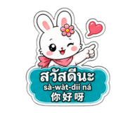 881116634
