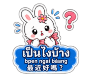 881116636