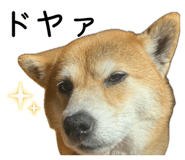 881123401