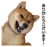881123402