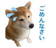 881123403