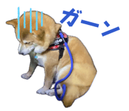 881123405