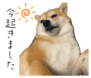 881123407