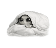 881137227