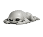 881137230