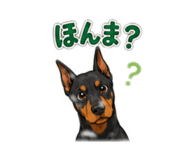 881137528