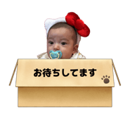 881137658