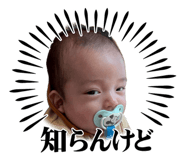 881137661