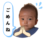 881137685