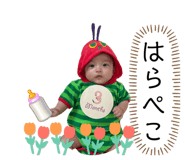 881137687