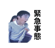 881138163