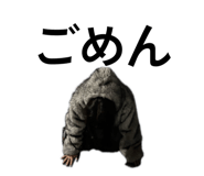 881138168