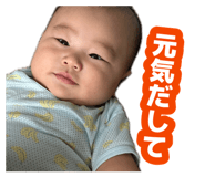 881138343