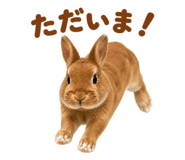 881152884