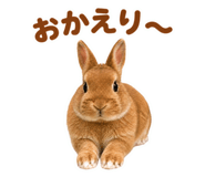 881152885