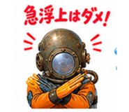 881155956