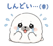 881158036