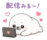 881158053