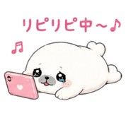 881158072