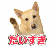 881159280