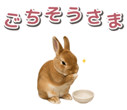 881160175