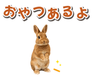 881160176