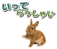 881160178