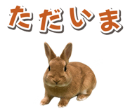 881160179