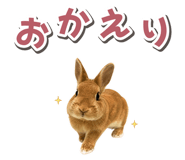 881160180