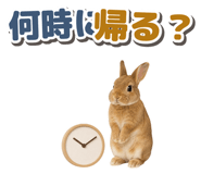 881160182
