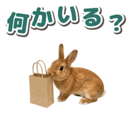 881160185