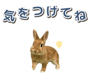 881160196