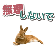 881160197