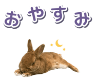 881160200