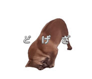 881165590