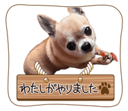 881165591