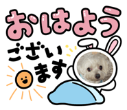 881165907