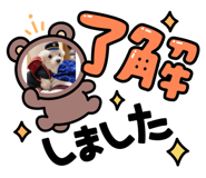 881165910