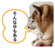 881165914