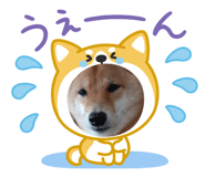 881165928