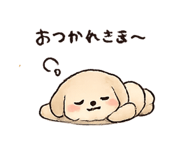 881166056