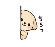 881166057