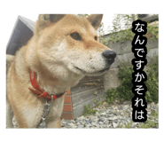 881166118