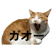 881166138