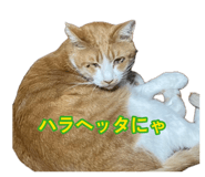 881166144