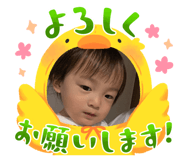 881166165