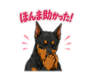 881166887