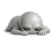 881167008