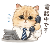 881167454